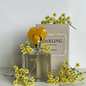 Darling Perfume