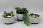 Silver Encrusted Bowl Centerpieces